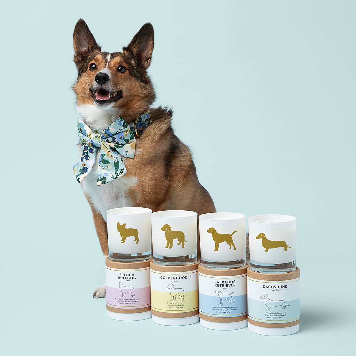 Assorted soy candles for pet lovers, including French bulldog, rescue dog, and goldendoodle designs in drink-safe reusable vessels.