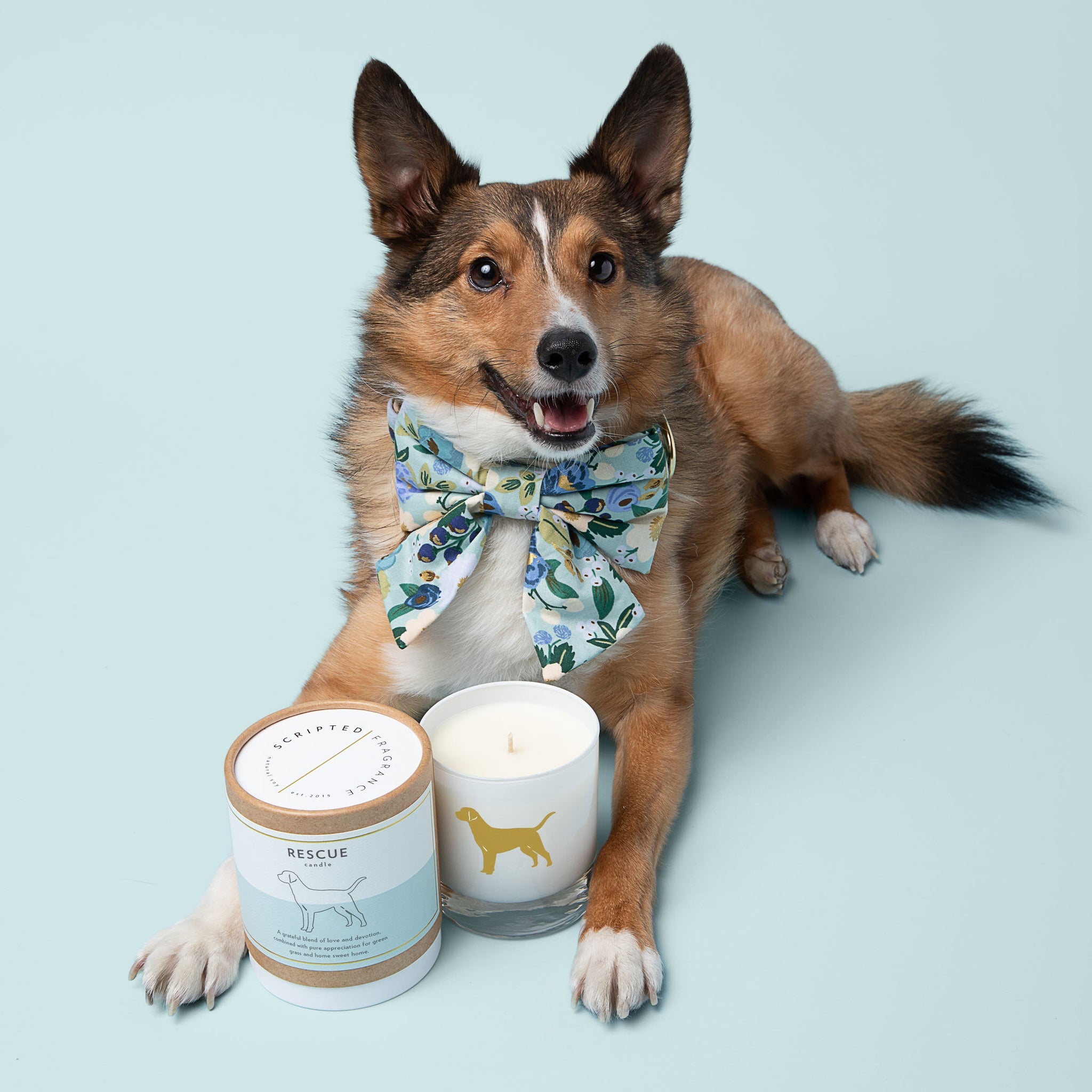 Rescue Dog Breed Soy Candle