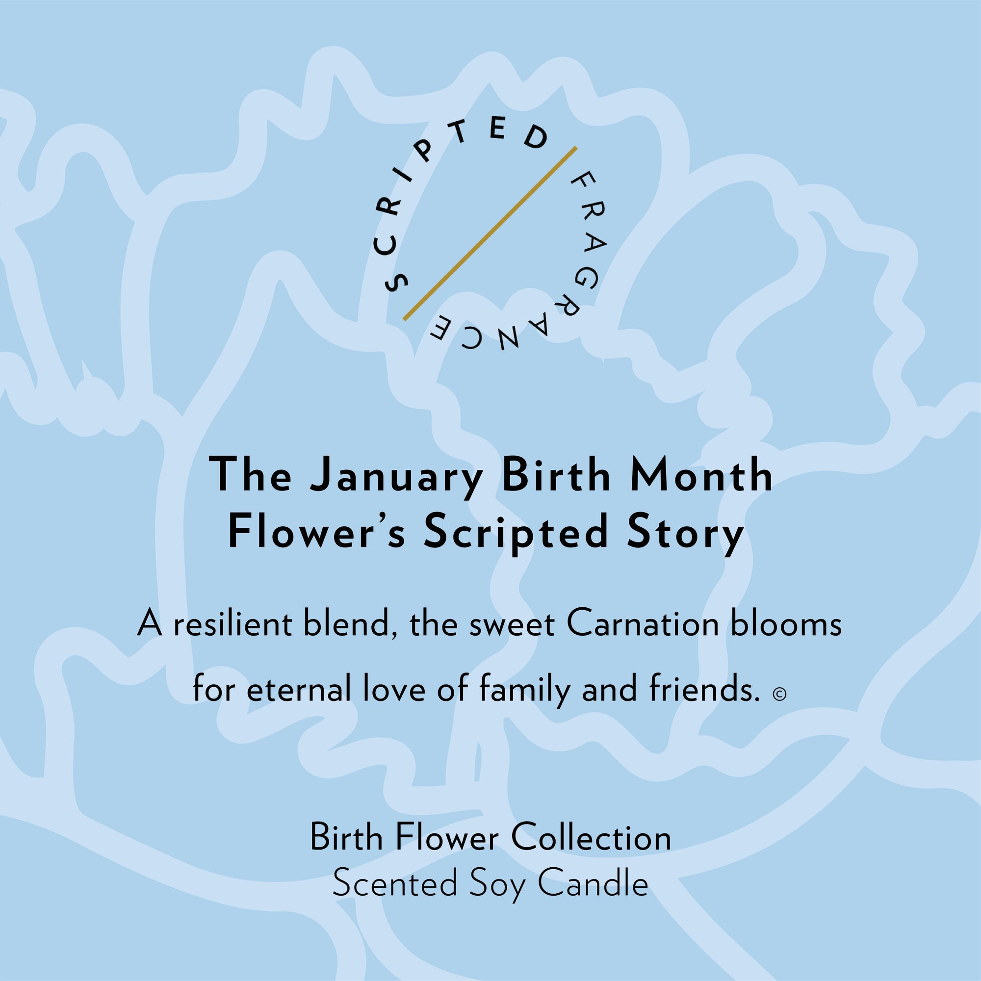 January Birth Month Flower Soy Candle, Carnation Candle