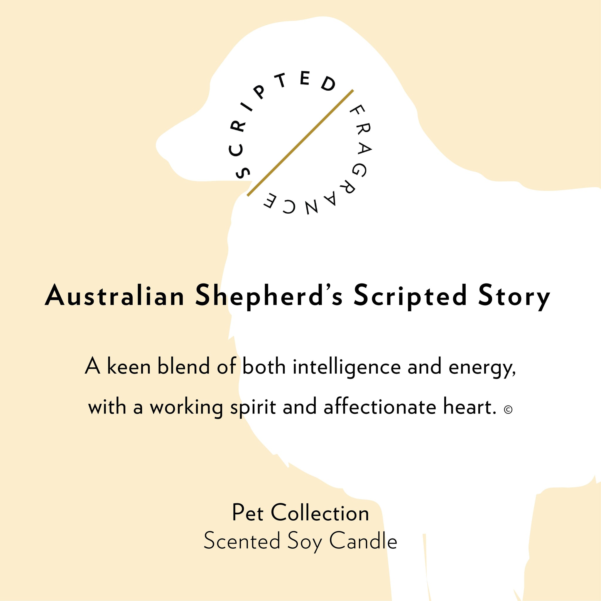 Australian Shepherd Dog Breed Soy Candle