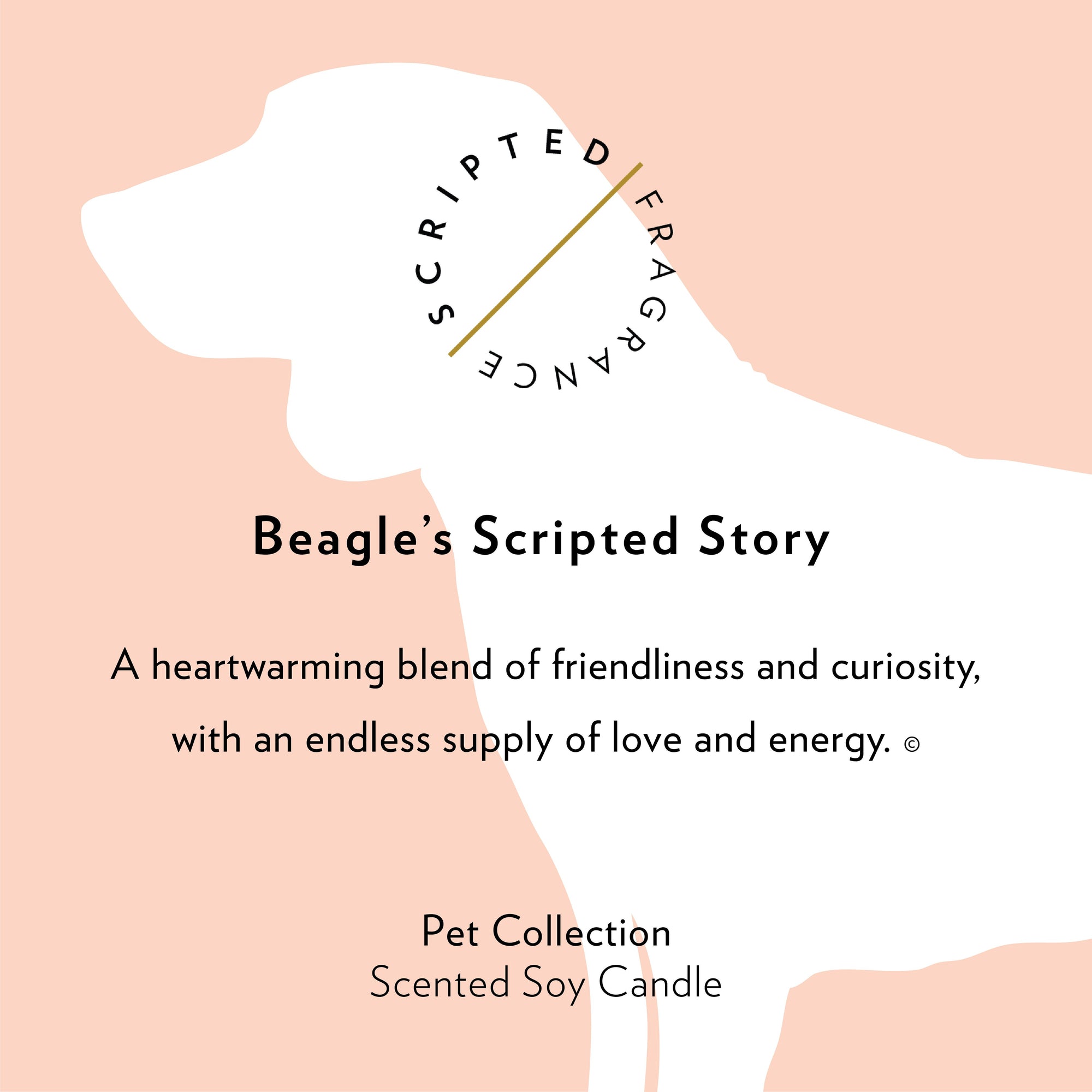 Beagle Dog Breed Soy Candle