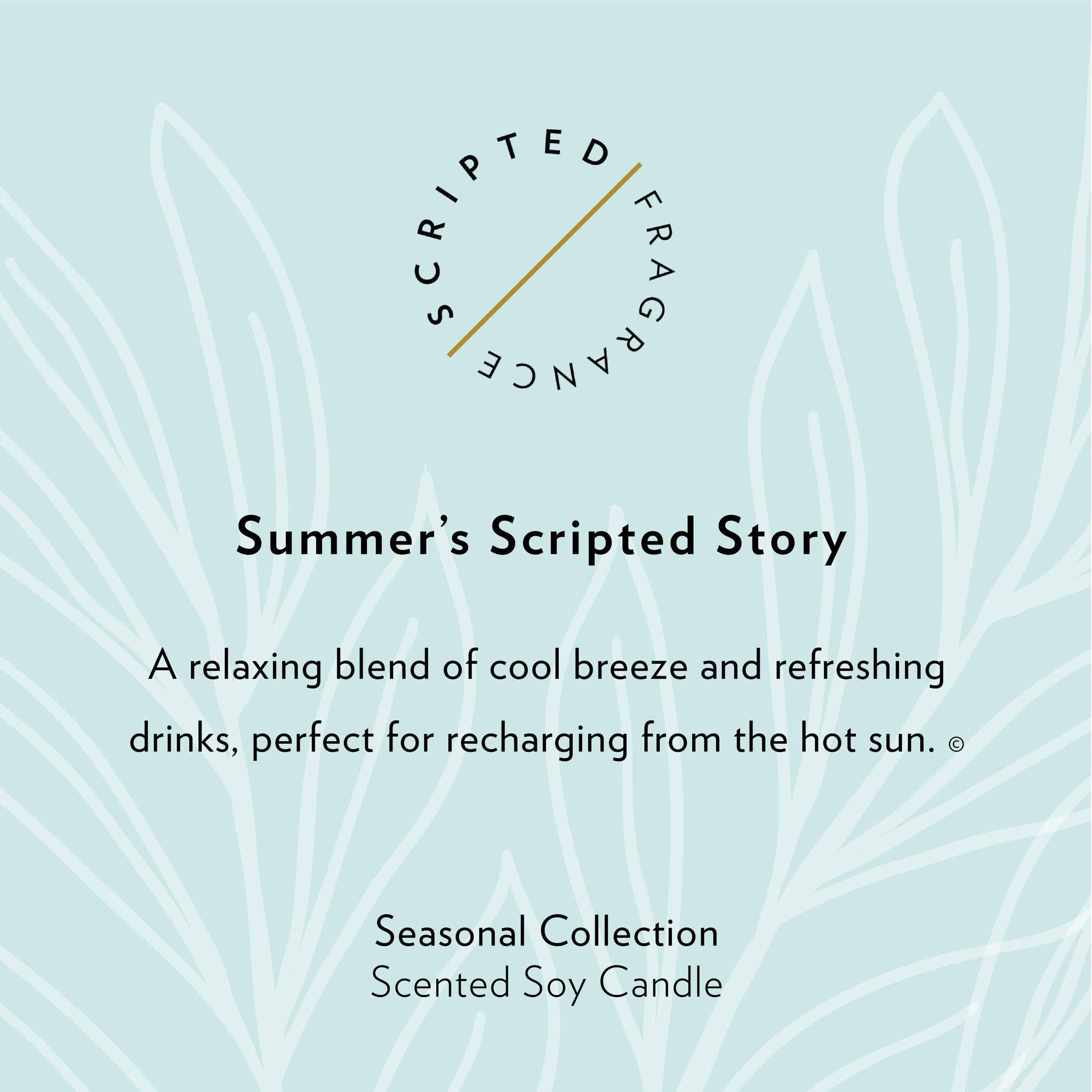 Scripted Fragrance summer candle scripted story that appears on the packaging
