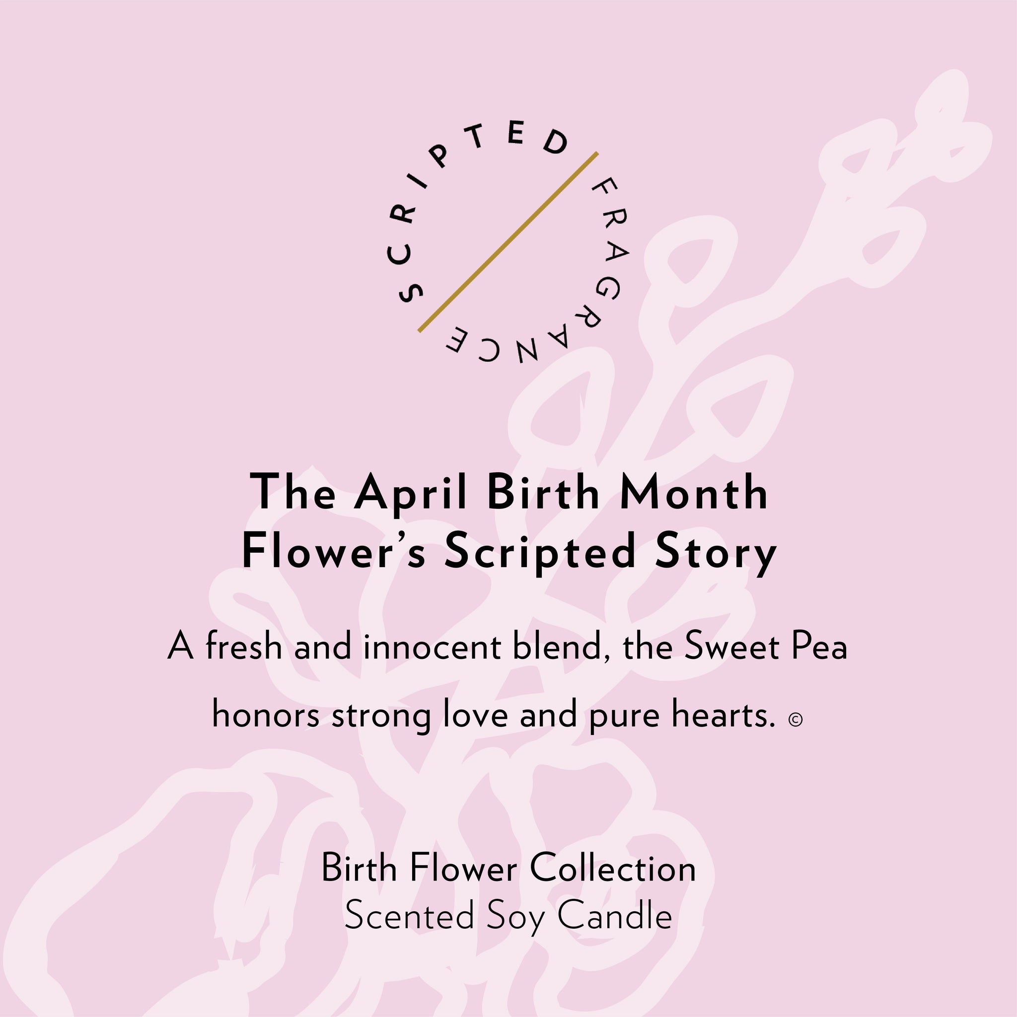 April Birth Month Flower Soy Candle, Sweet Pea Candle