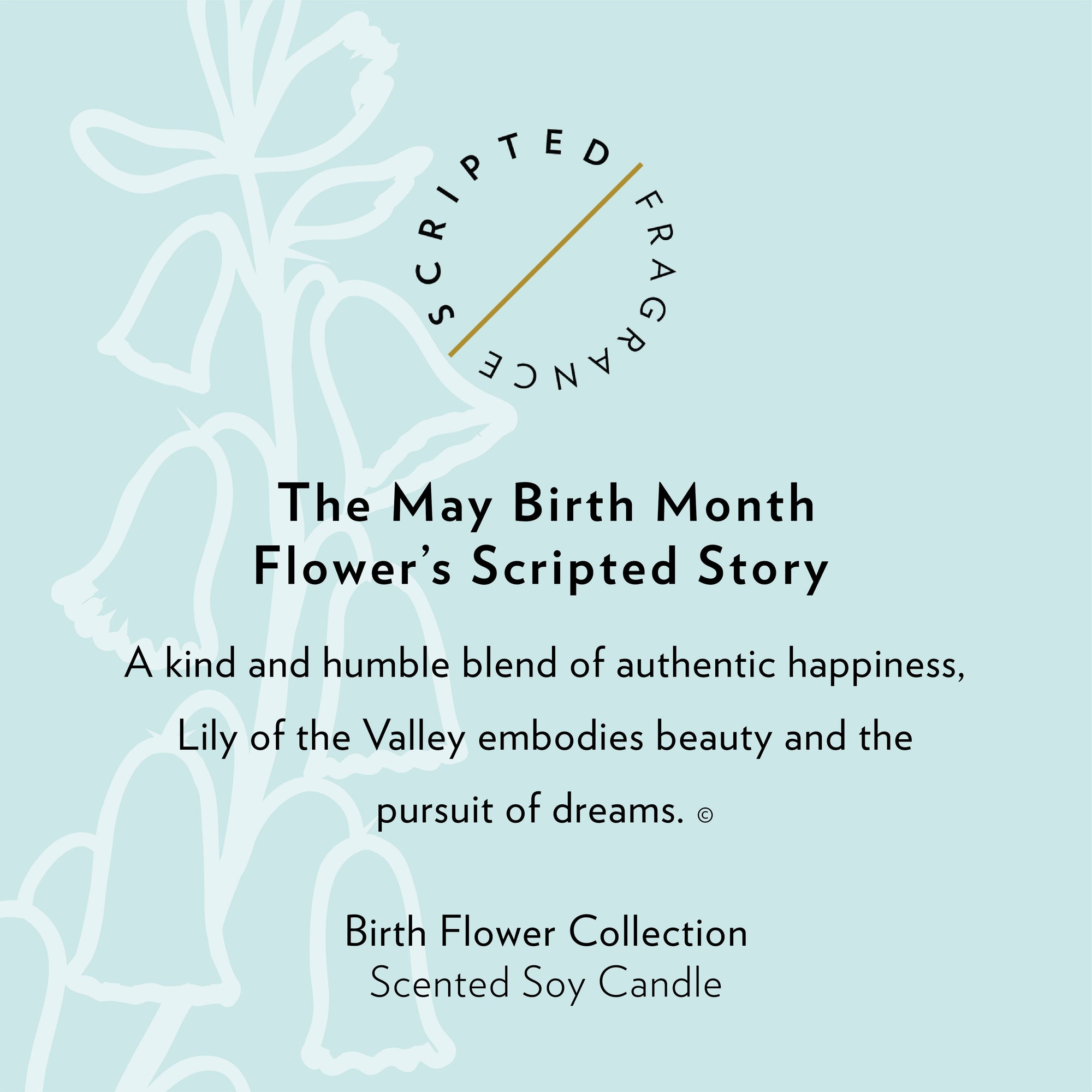 May Lily of the Valley Candle with scripted story text highlighting purity and happiness, elegant typography paired with soft floral imagery, perfect for spring gifting inspiration