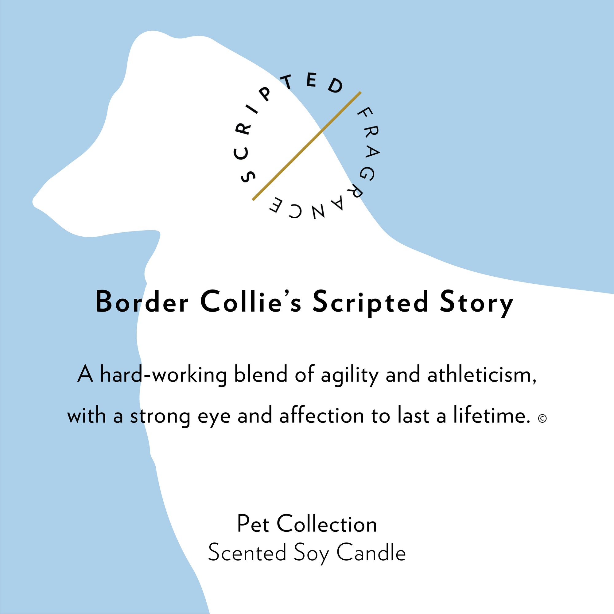 Border Collie Dog Breed Soy Candle