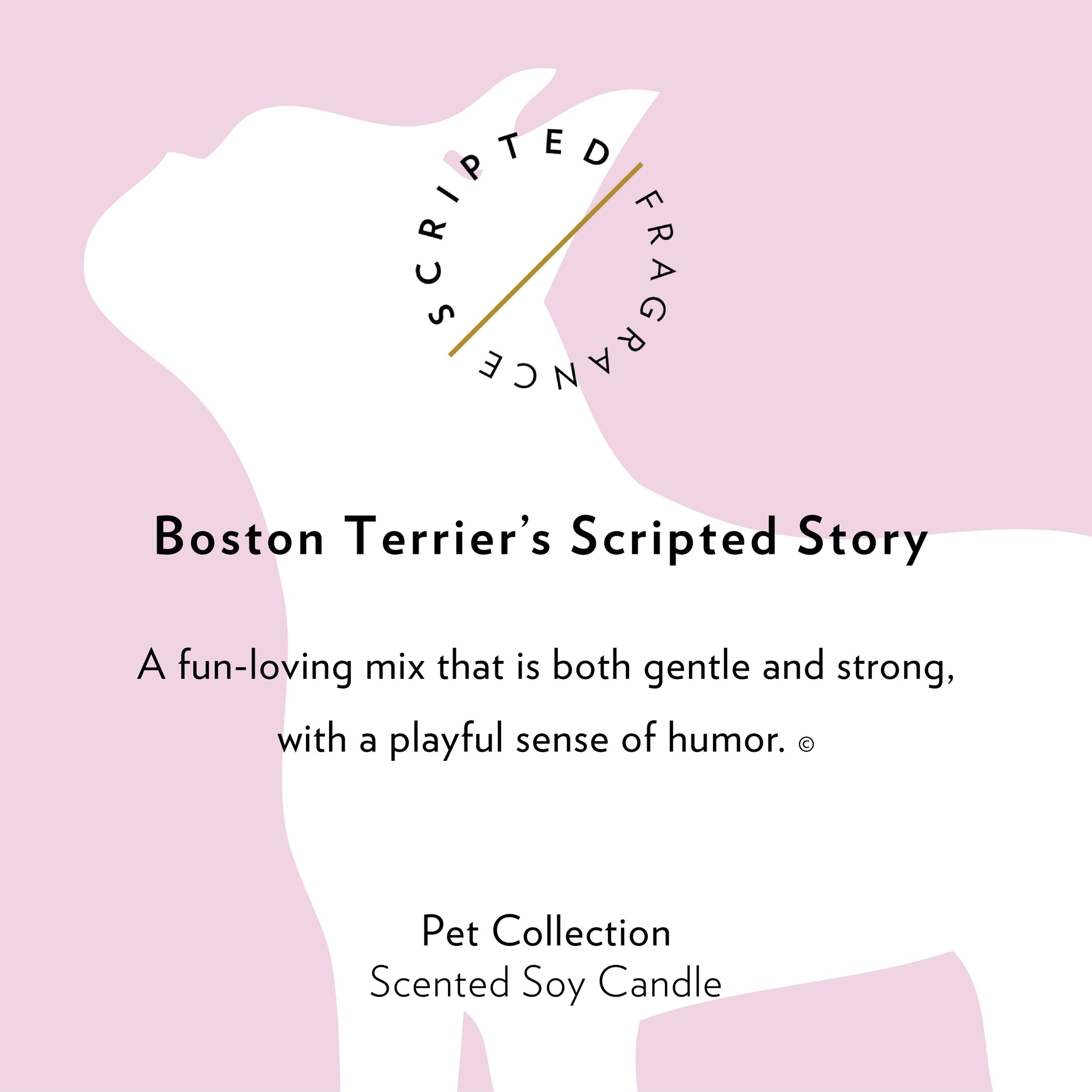 Boston Terrier Dog Breed Soy Candle