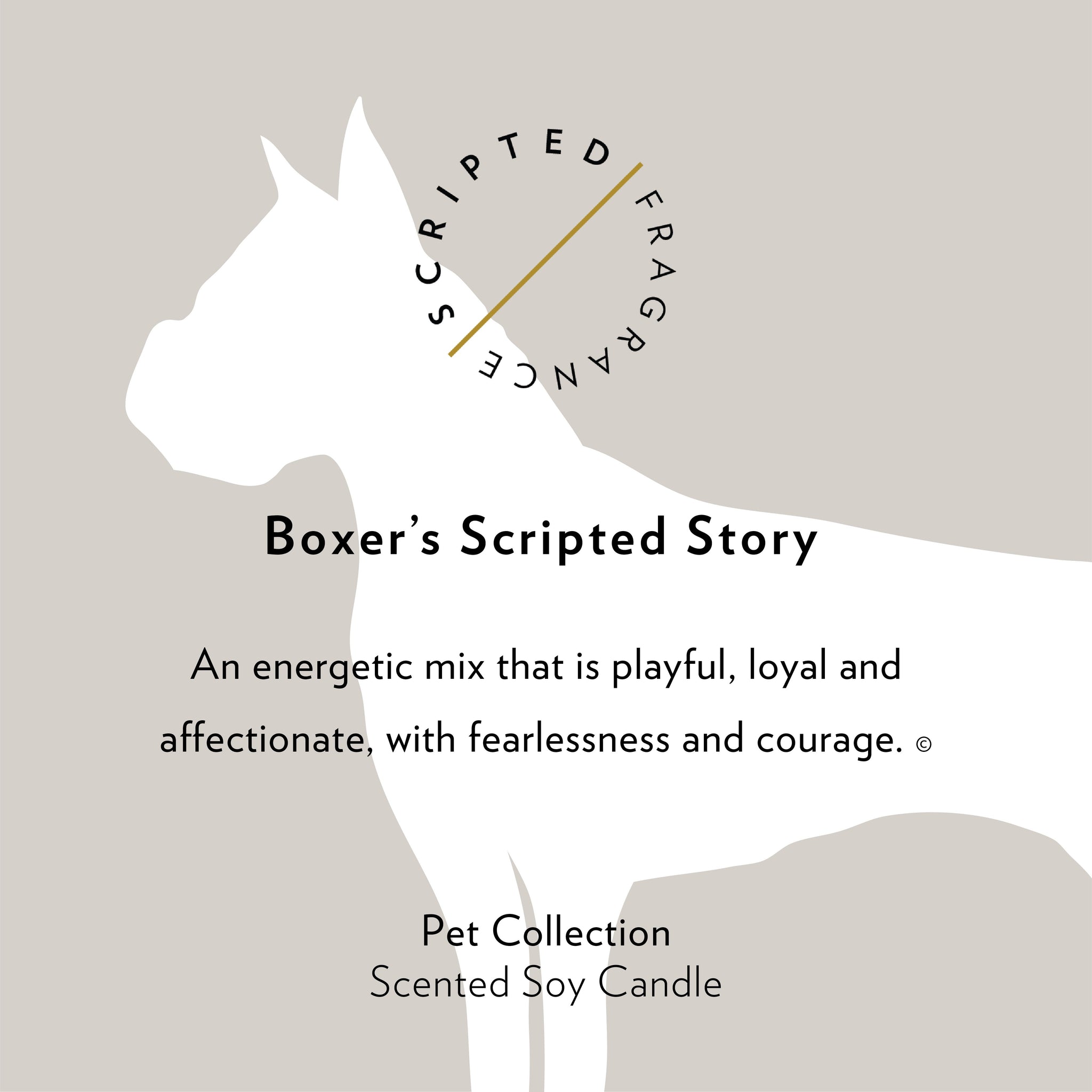 Boxer Dog Breed Soy Candle