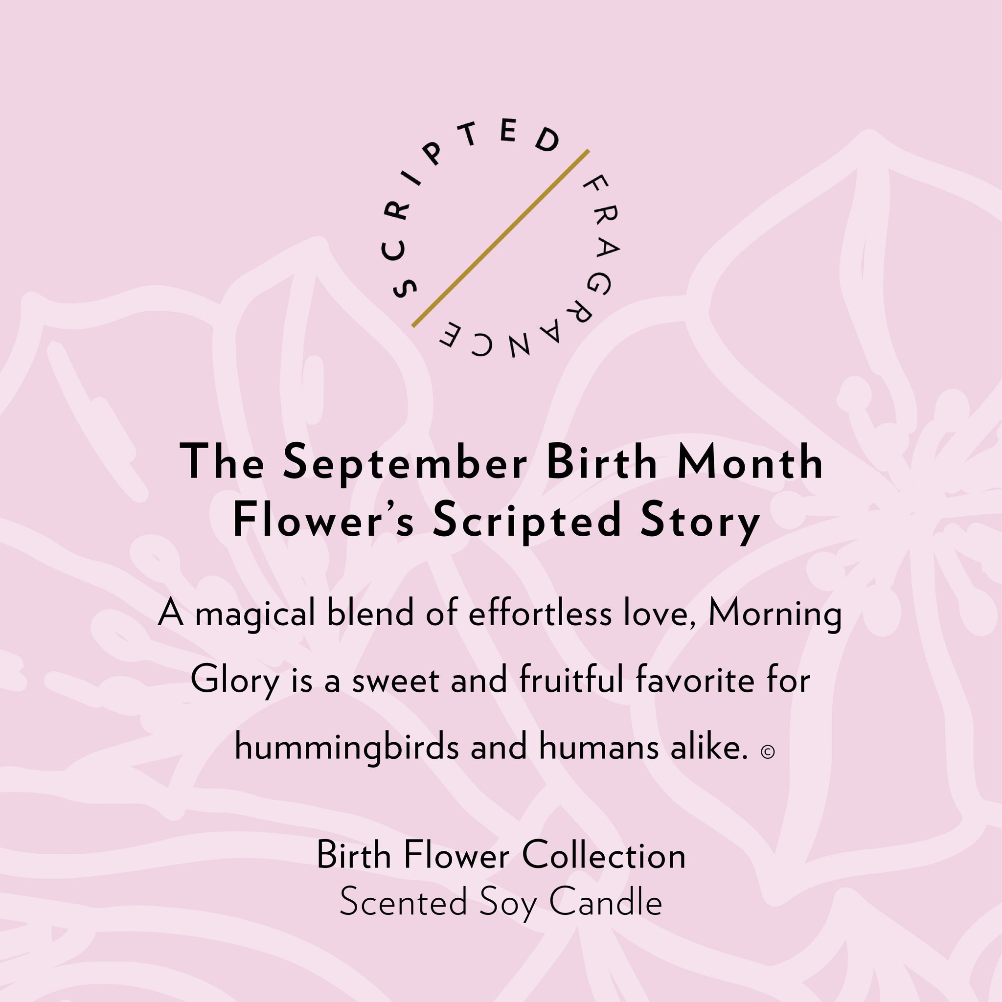 September Birth Month Flower Soy Candle, Morning Glory Candle