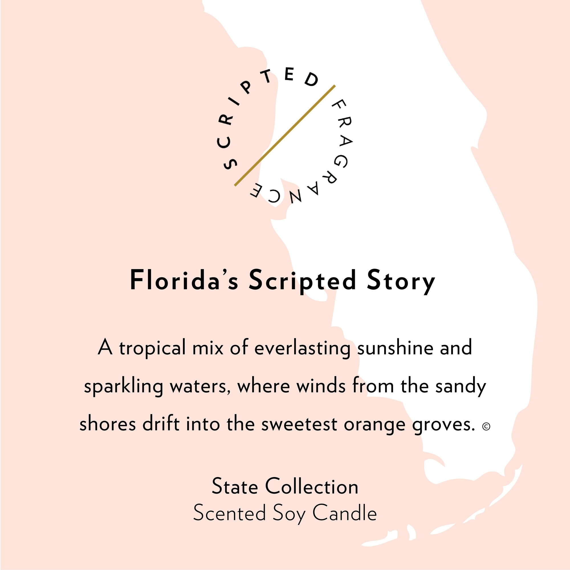 Florida State Soy Candle