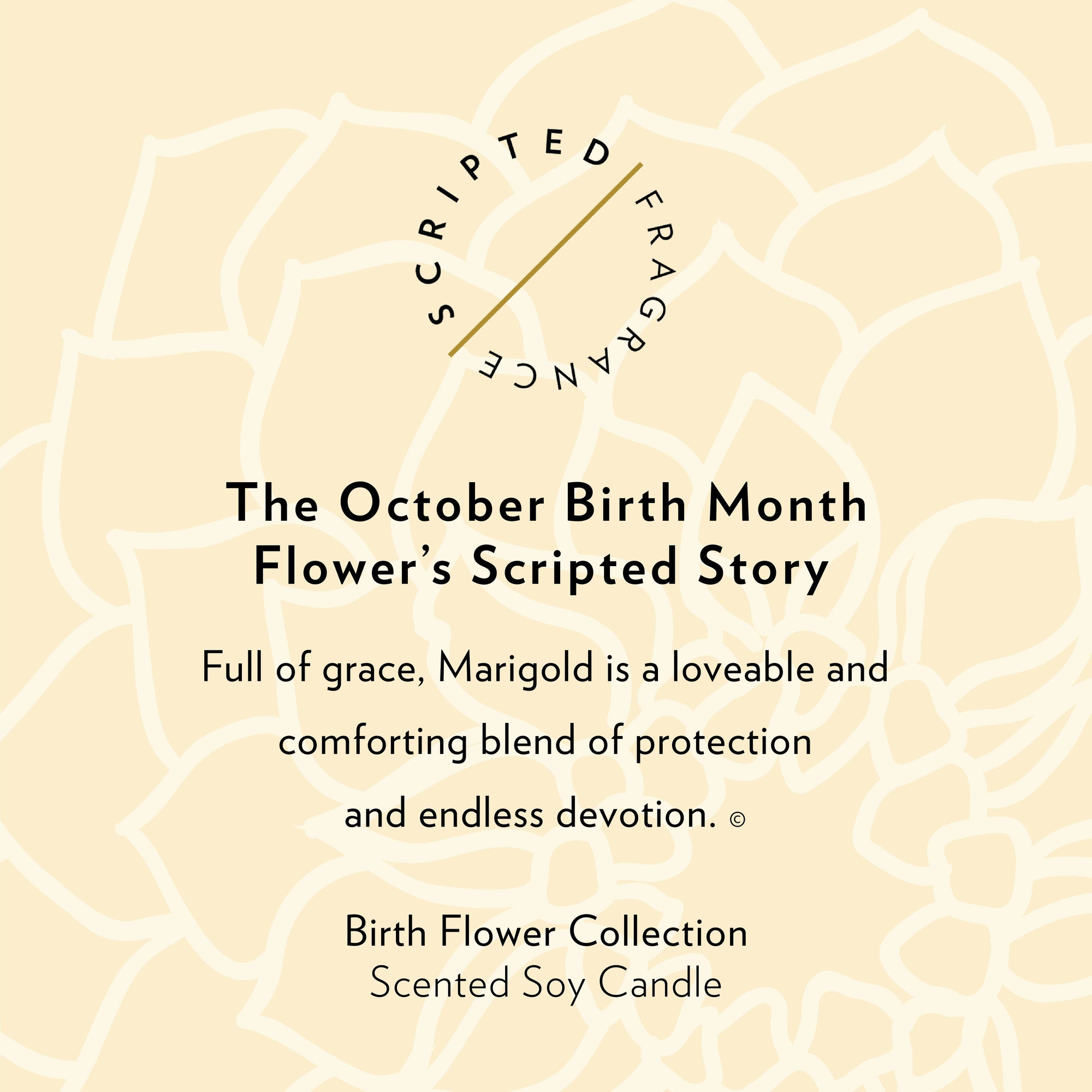 October Marigold Candle with scripted story text symbolizing warmth and creativity, vibrant floral design and elegant lettering, perfect for fall birthdays and autumn gifting inspiration
