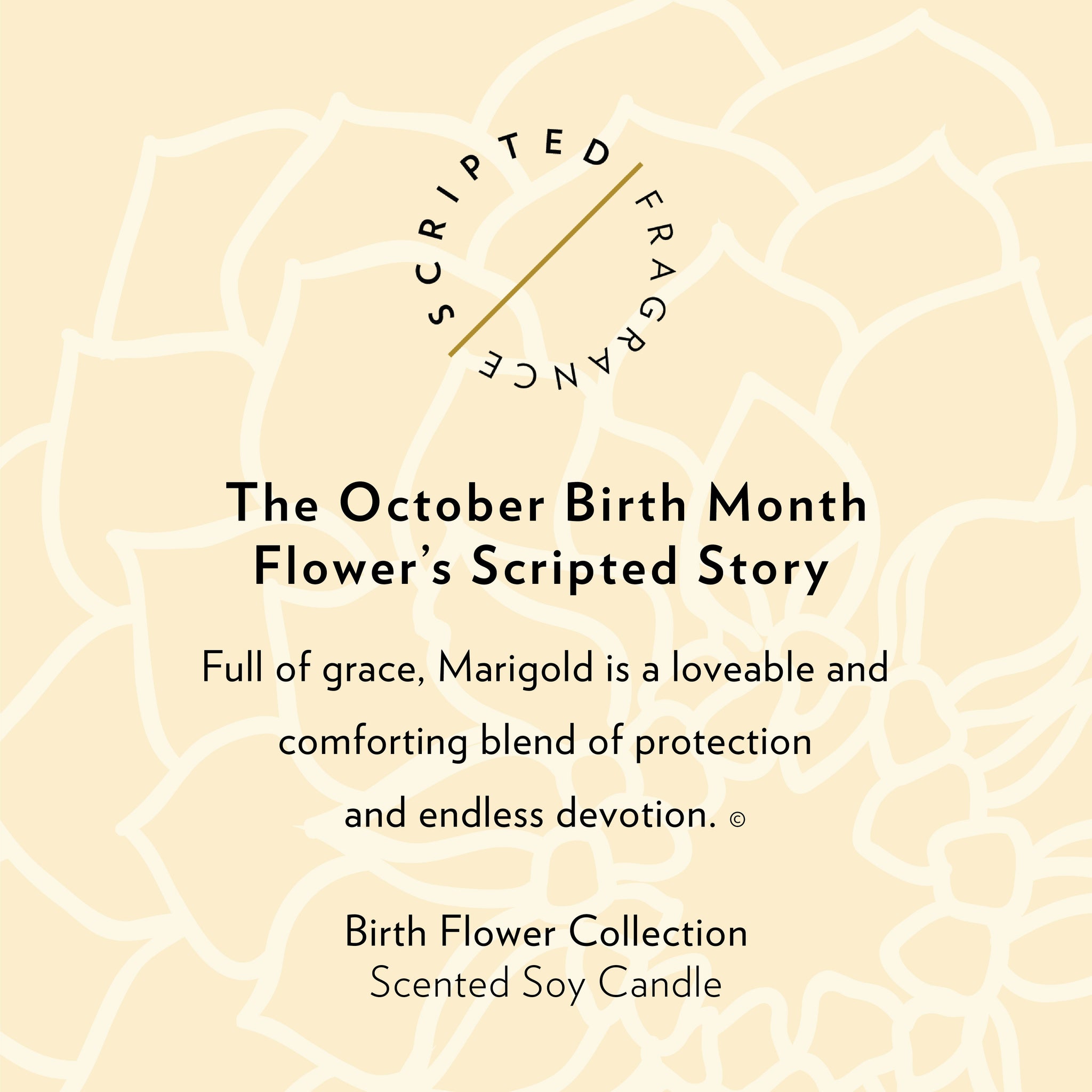 October Marigold Candle with scripted story text symbolizing warmth and creativity, vibrant floral design and elegant lettering, perfect for fall birthdays and autumn gifting inspiration