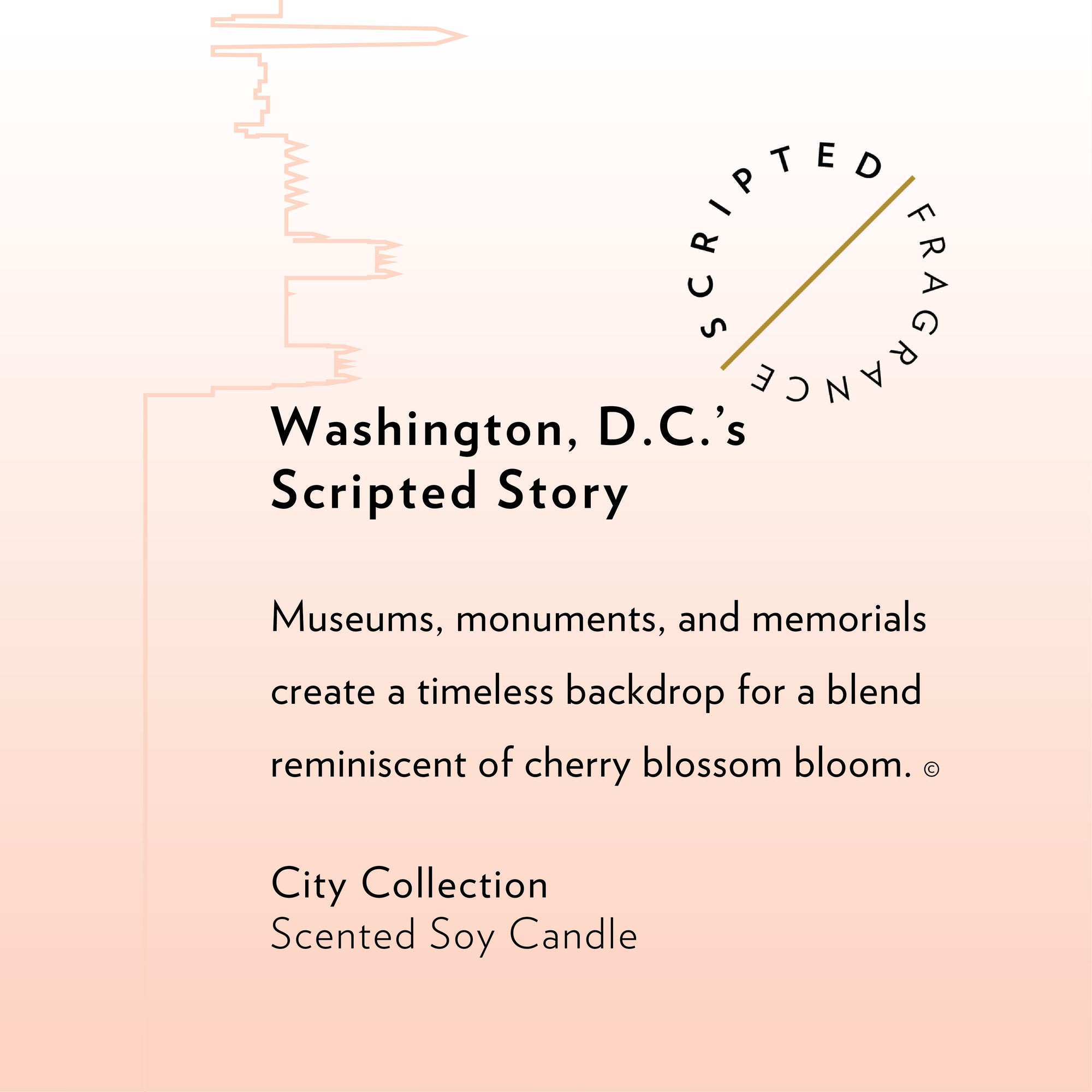 Washington, D.C. Soy Candle