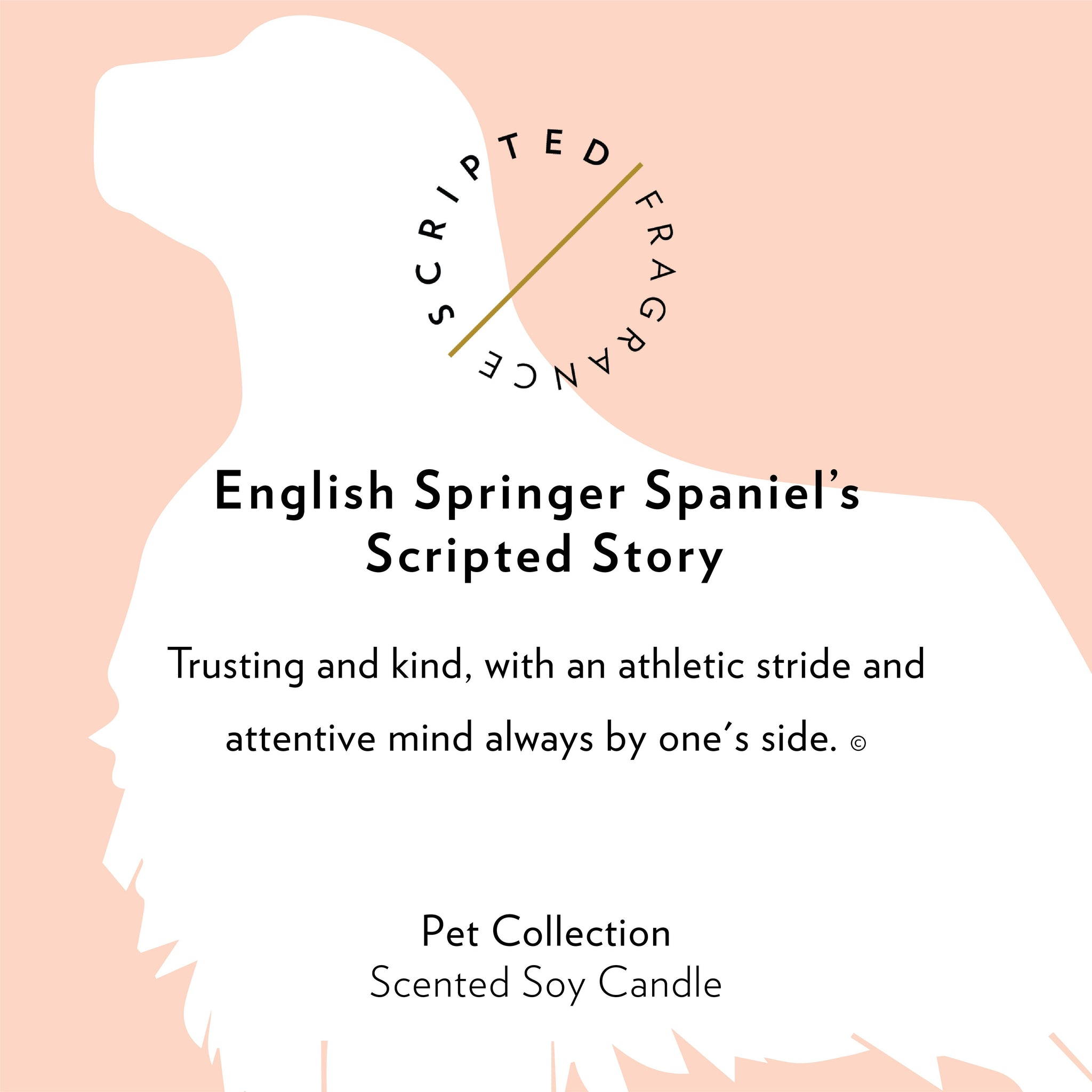 English Springer Spaniel Dog Breed Soy Candle