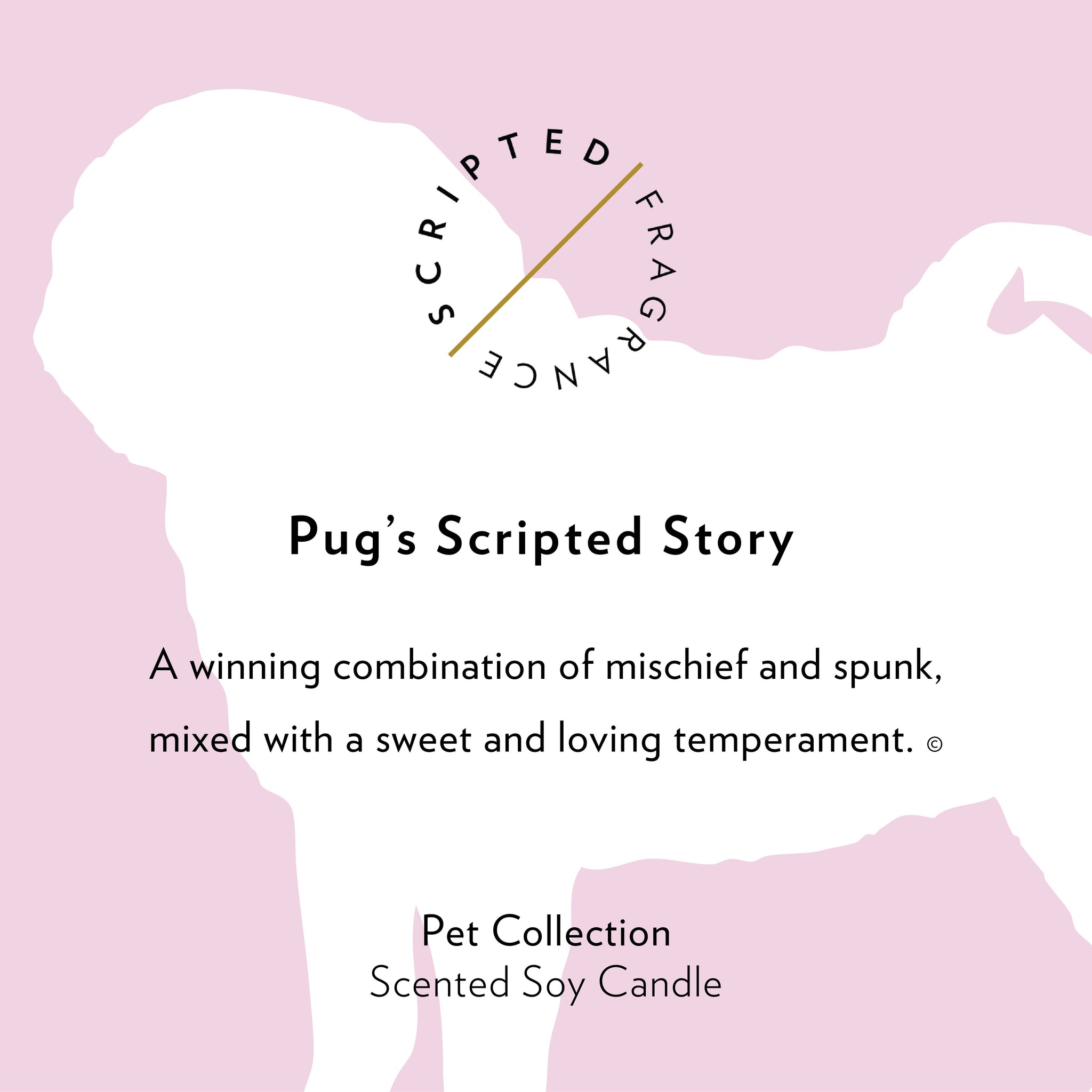 Pug Dog Breed Soy Candle