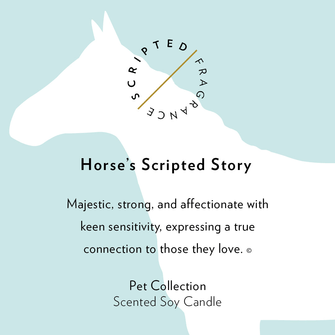 Horse Soy Candle