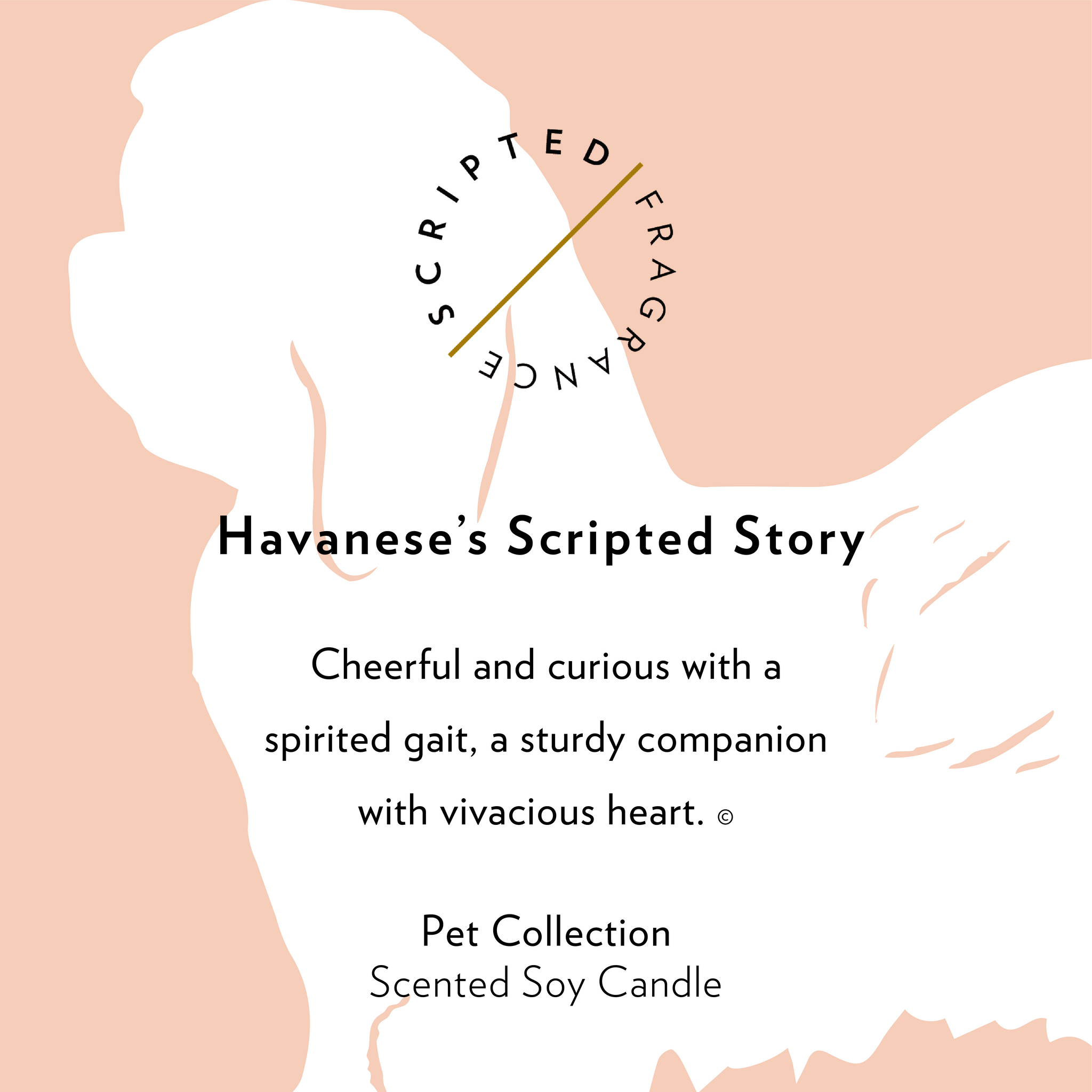 Havanese Dog Breed Soy Candle