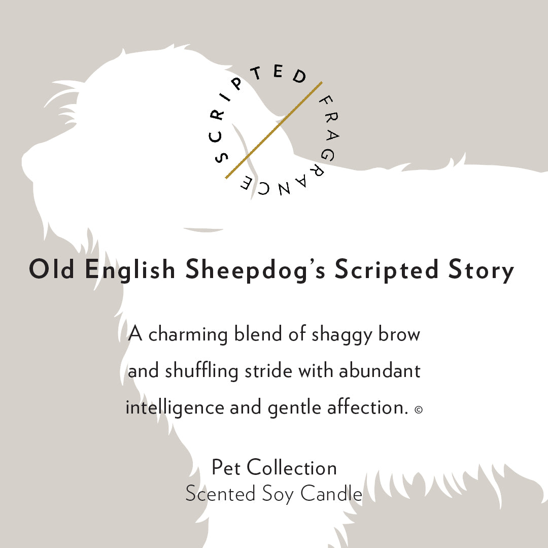 Old English Sheepdog Breed Soy Candle