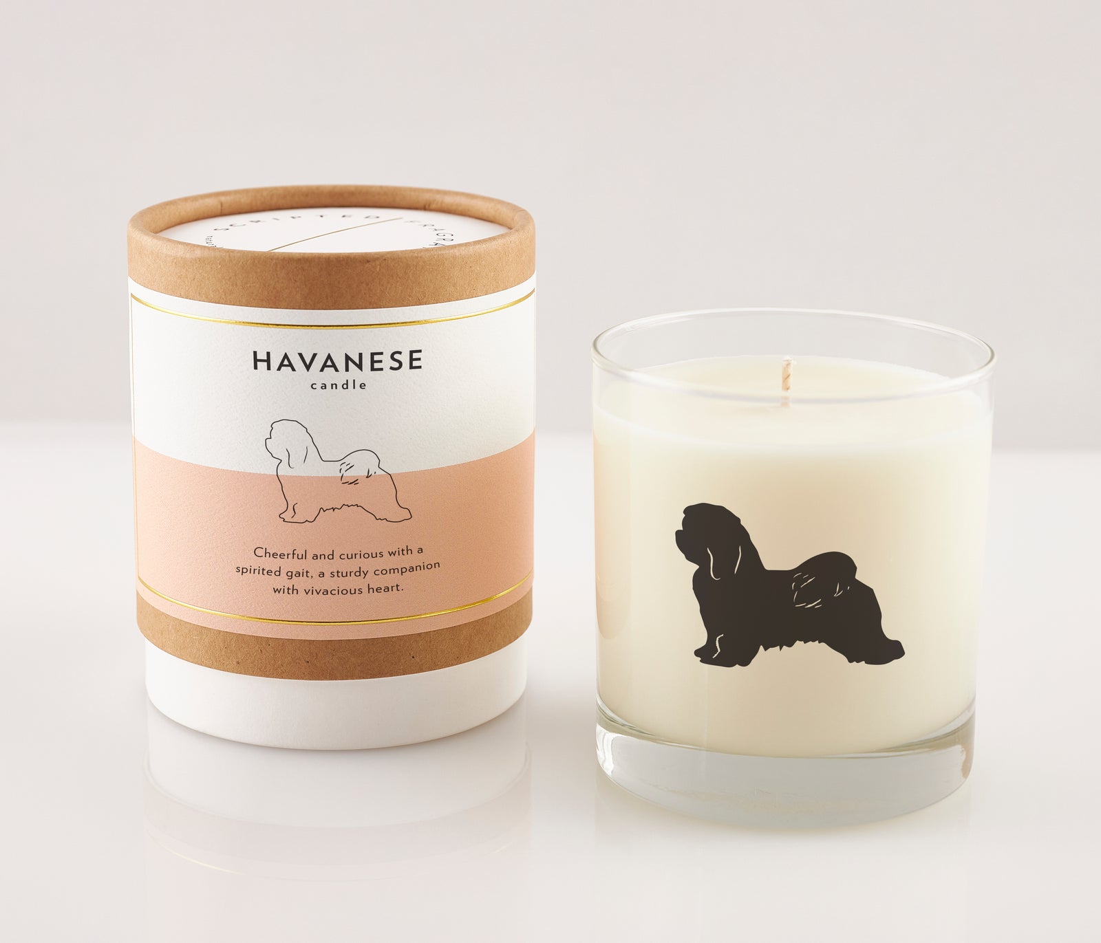 Havanese Dog Breed Soy Candle