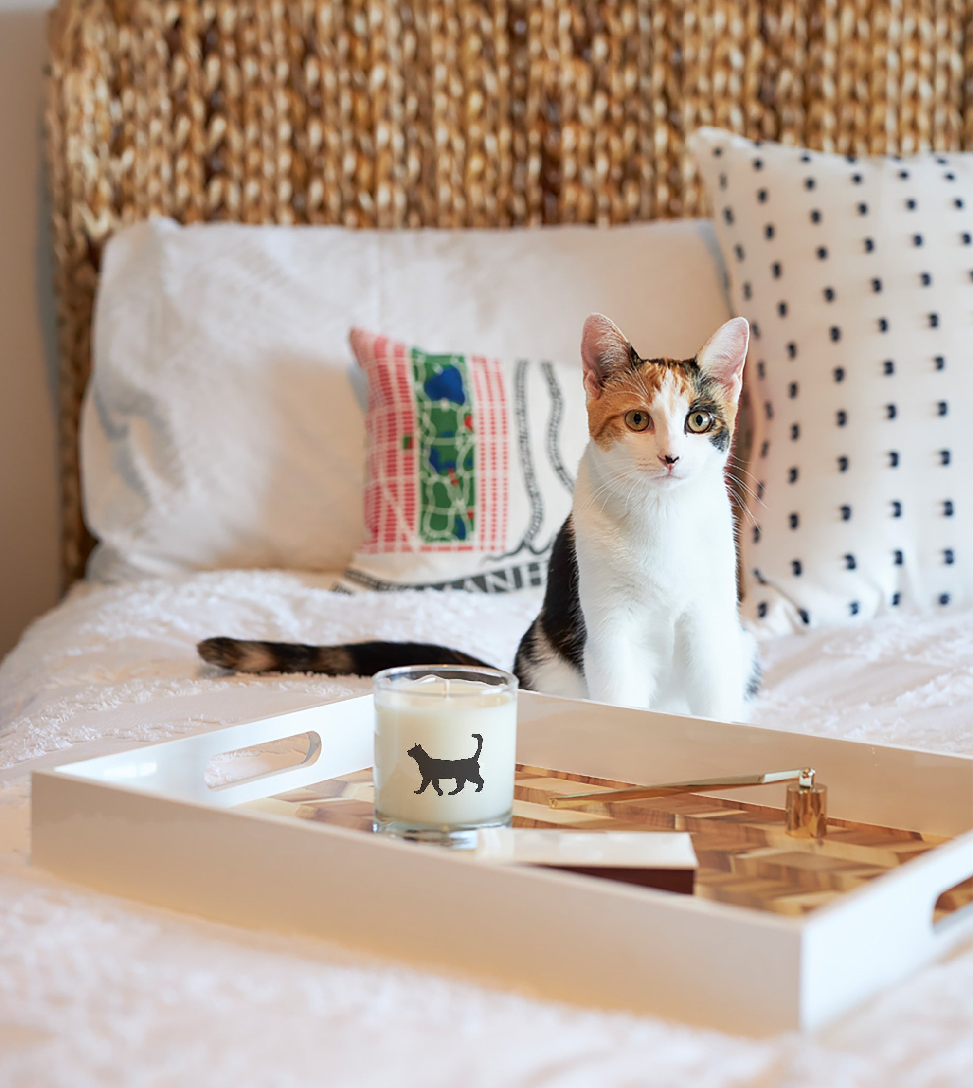 Cat Soy Candle