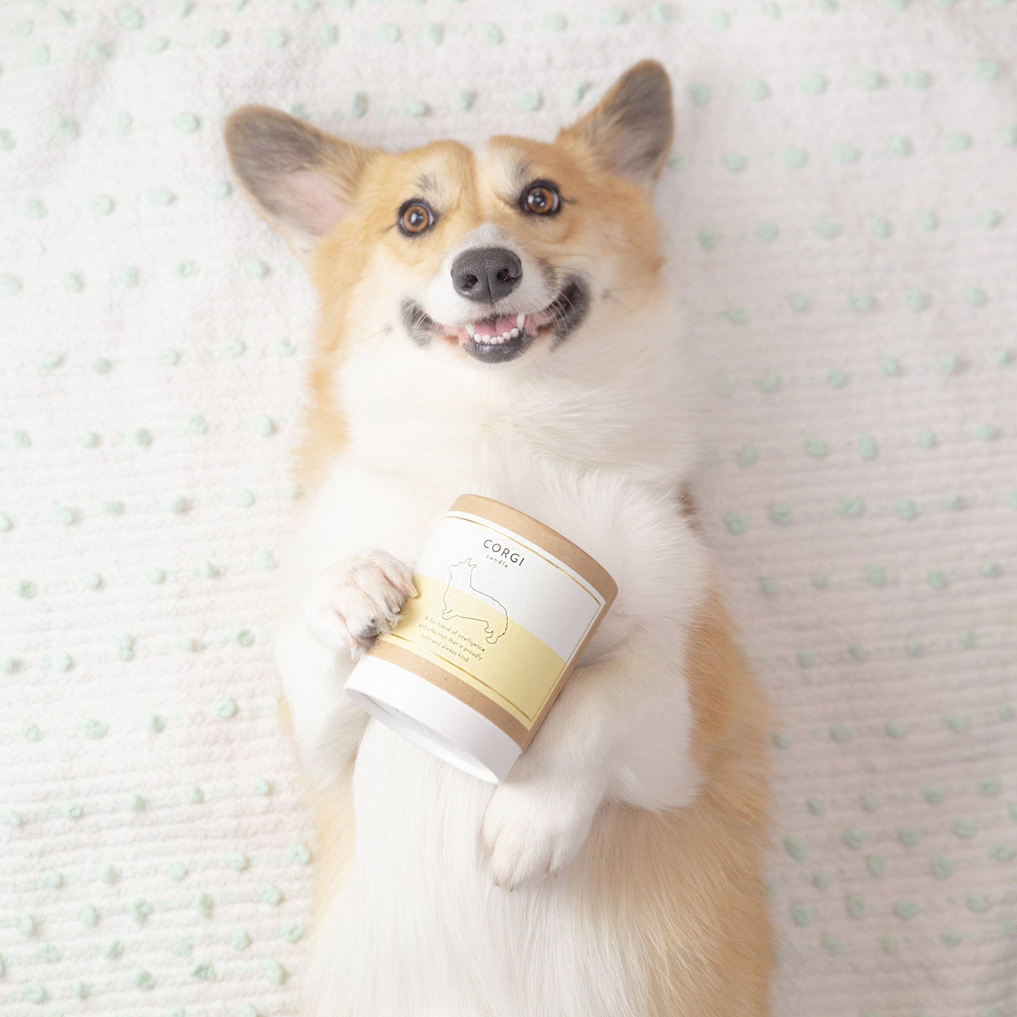 Corgi Dog Breed Soy Candle