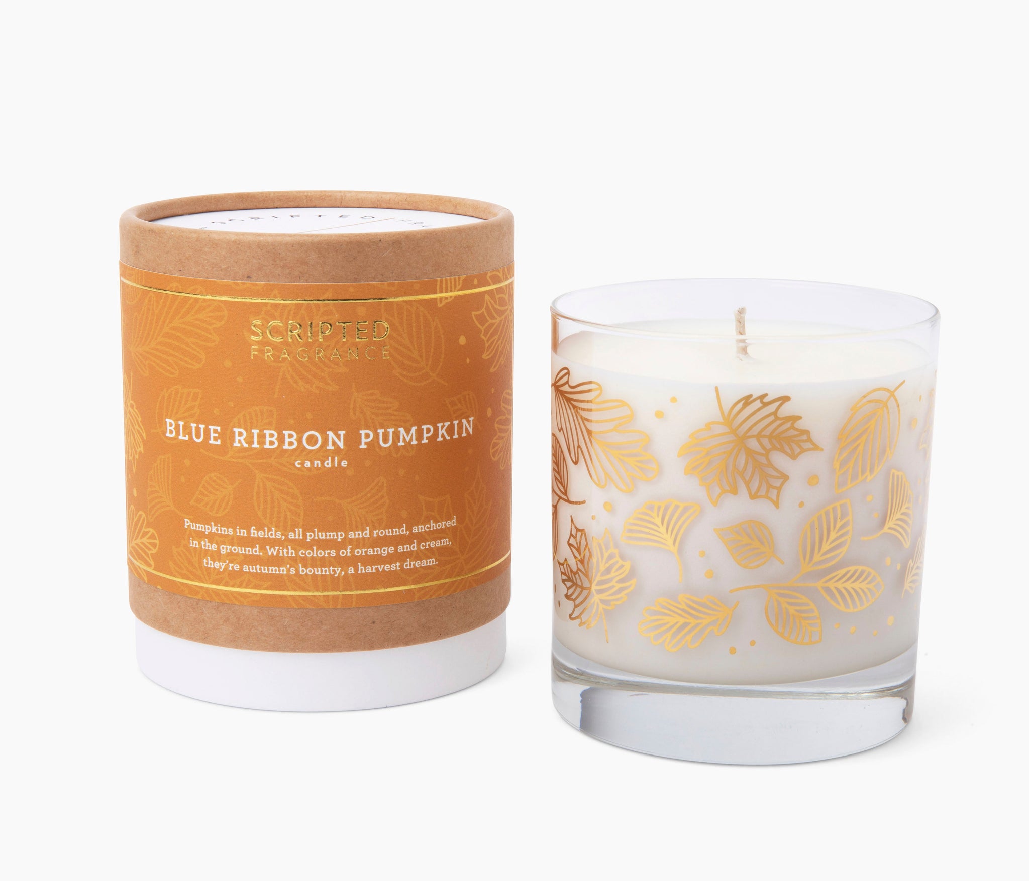 Blue Ribbon Pumpkin Autumn Soy Candle