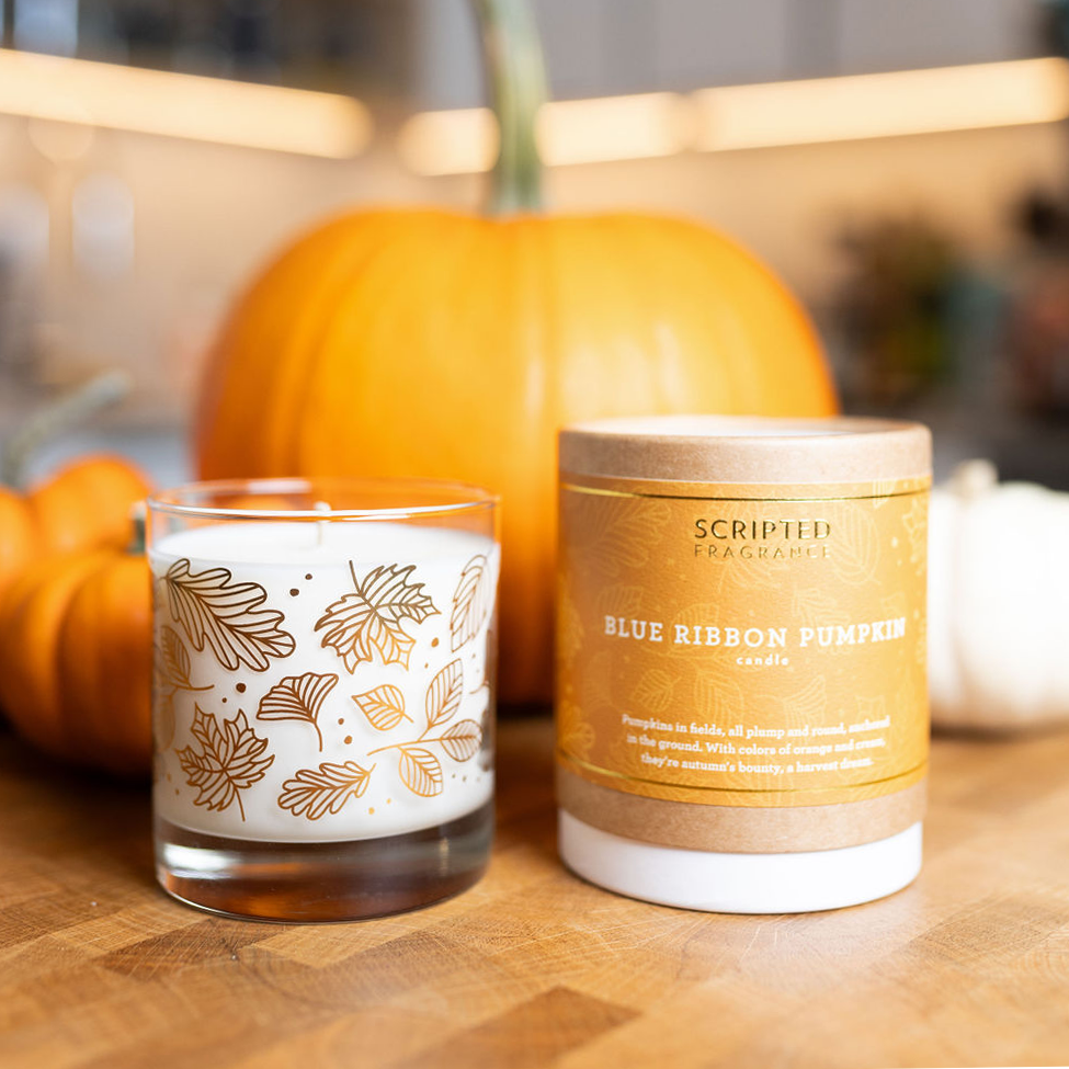 Scripted Glass The BEST Fall Candle | Blue Ribbon Pumpkin Autumn Scented Candle ...