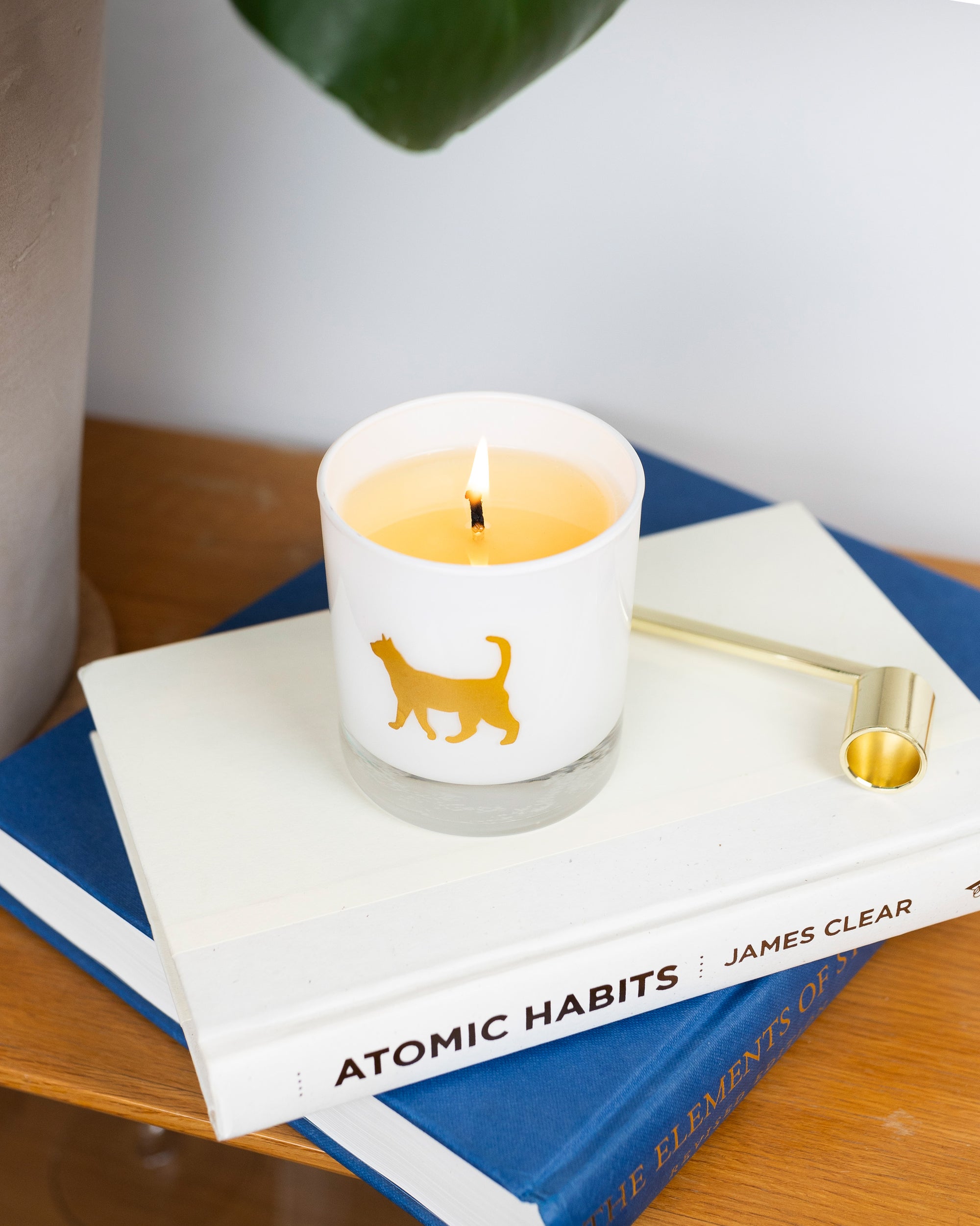 Cat Soy Candle