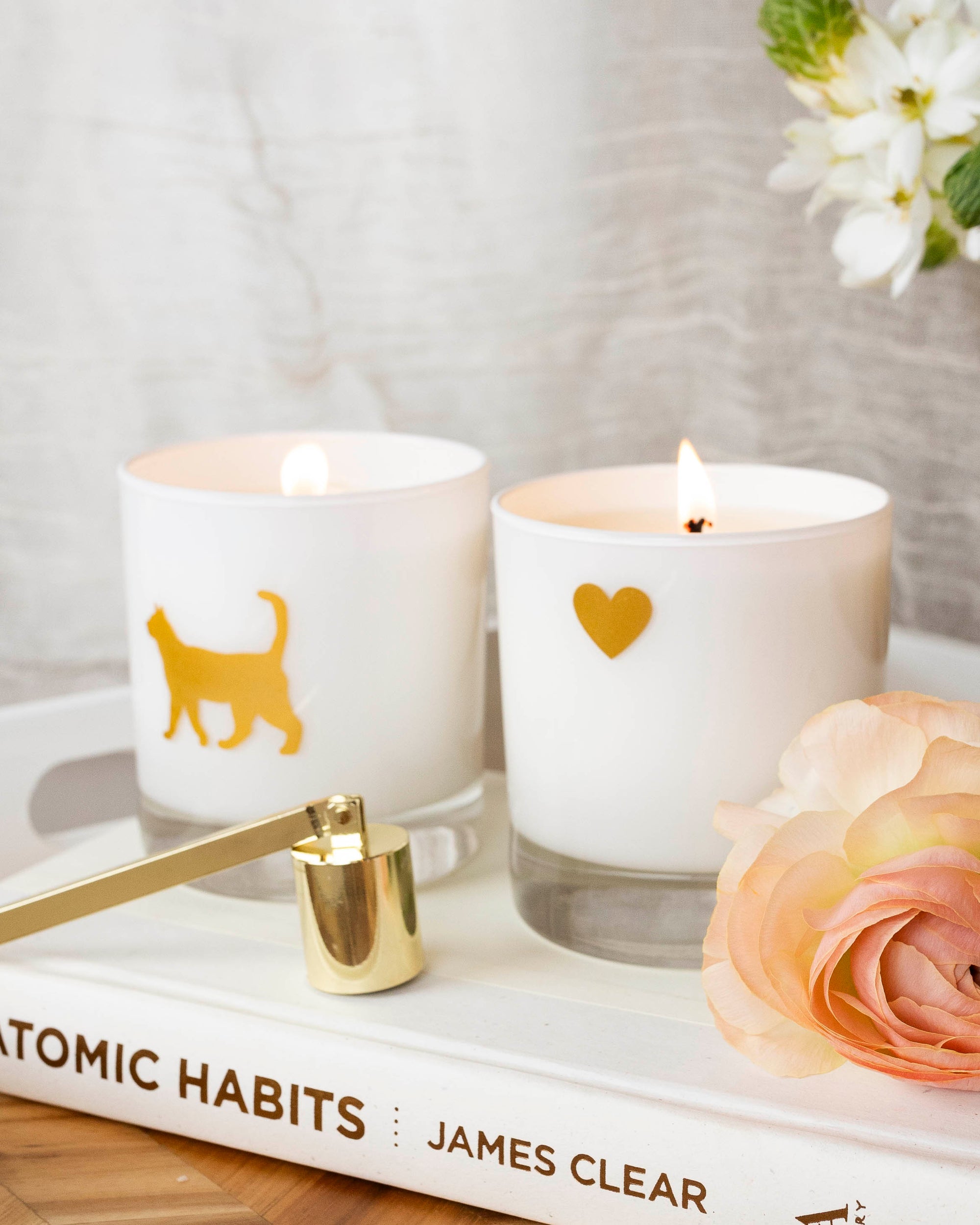 Cat Soy Candle