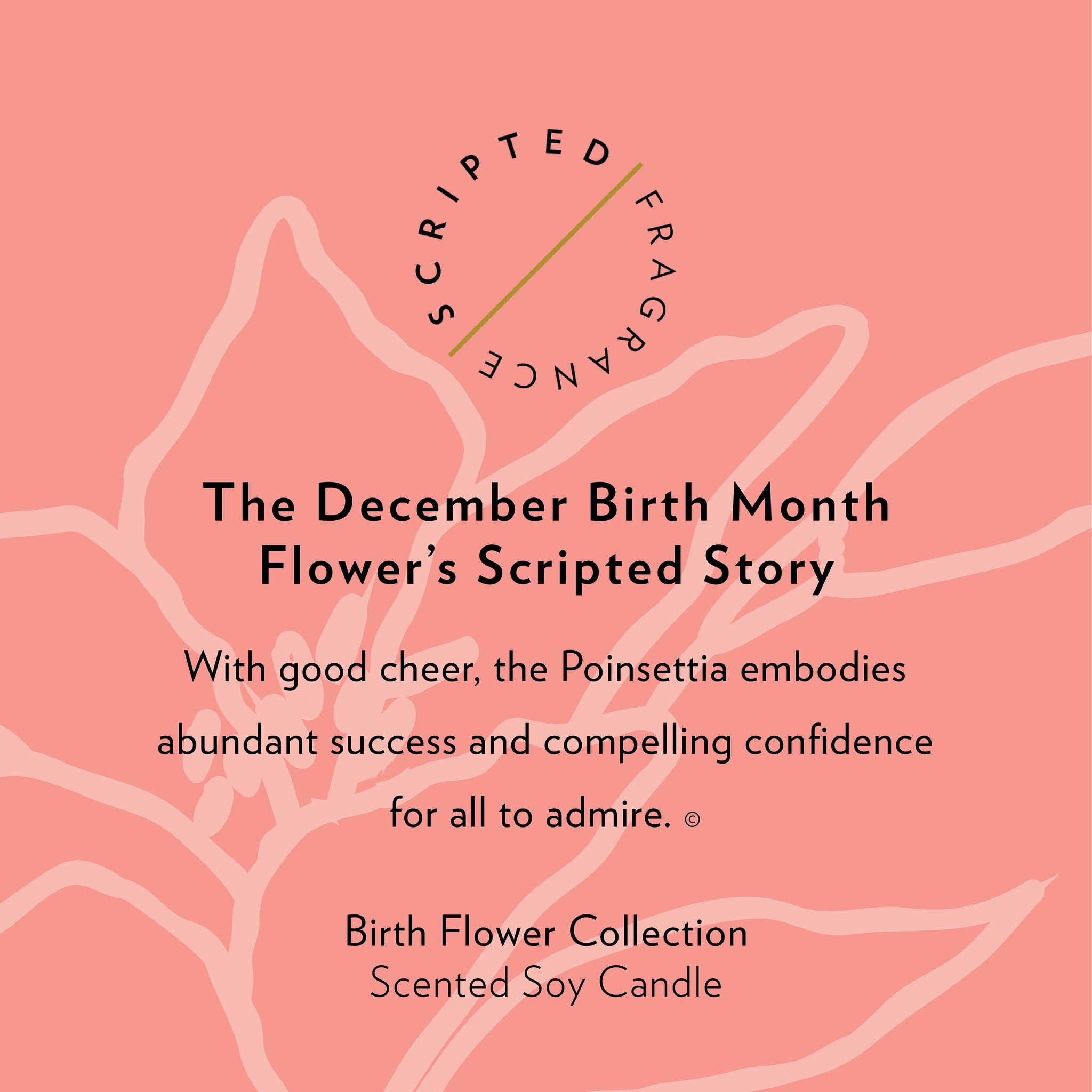 December Birth Month Flower Soy Candle, Poinsettia Candle