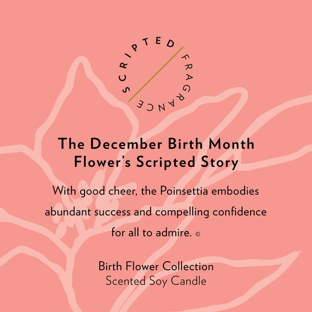 december birth month flower