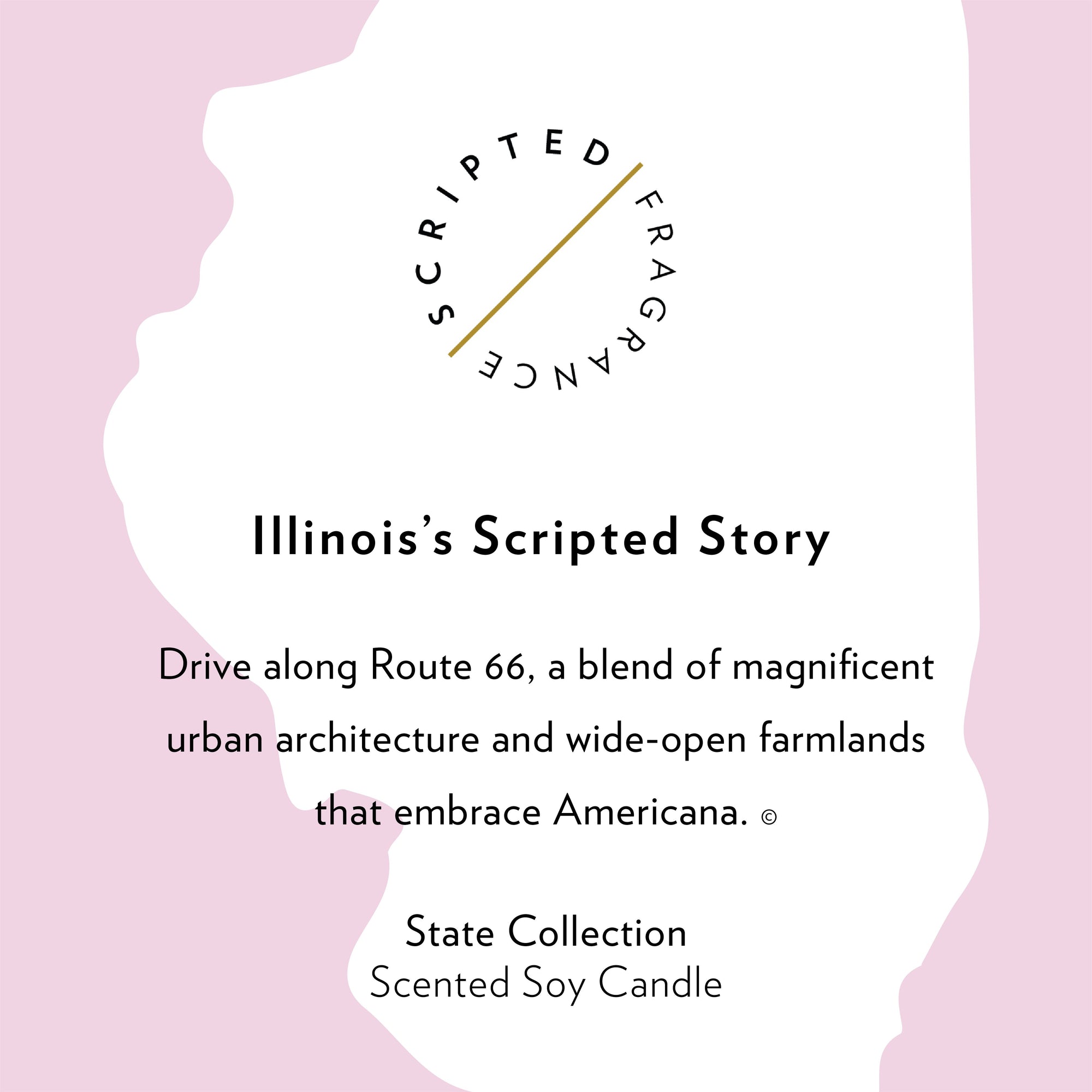 Illinois State Soy Candle