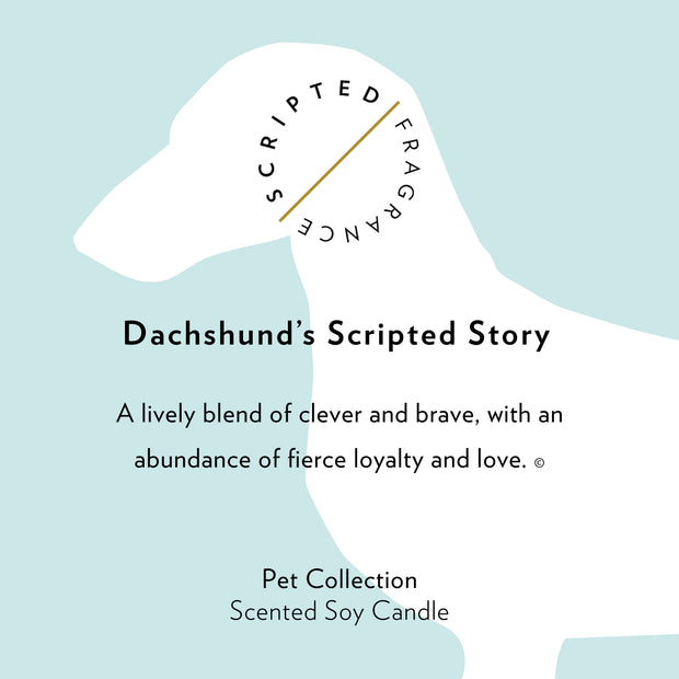 Dachshund Dog Breed Soy Candle