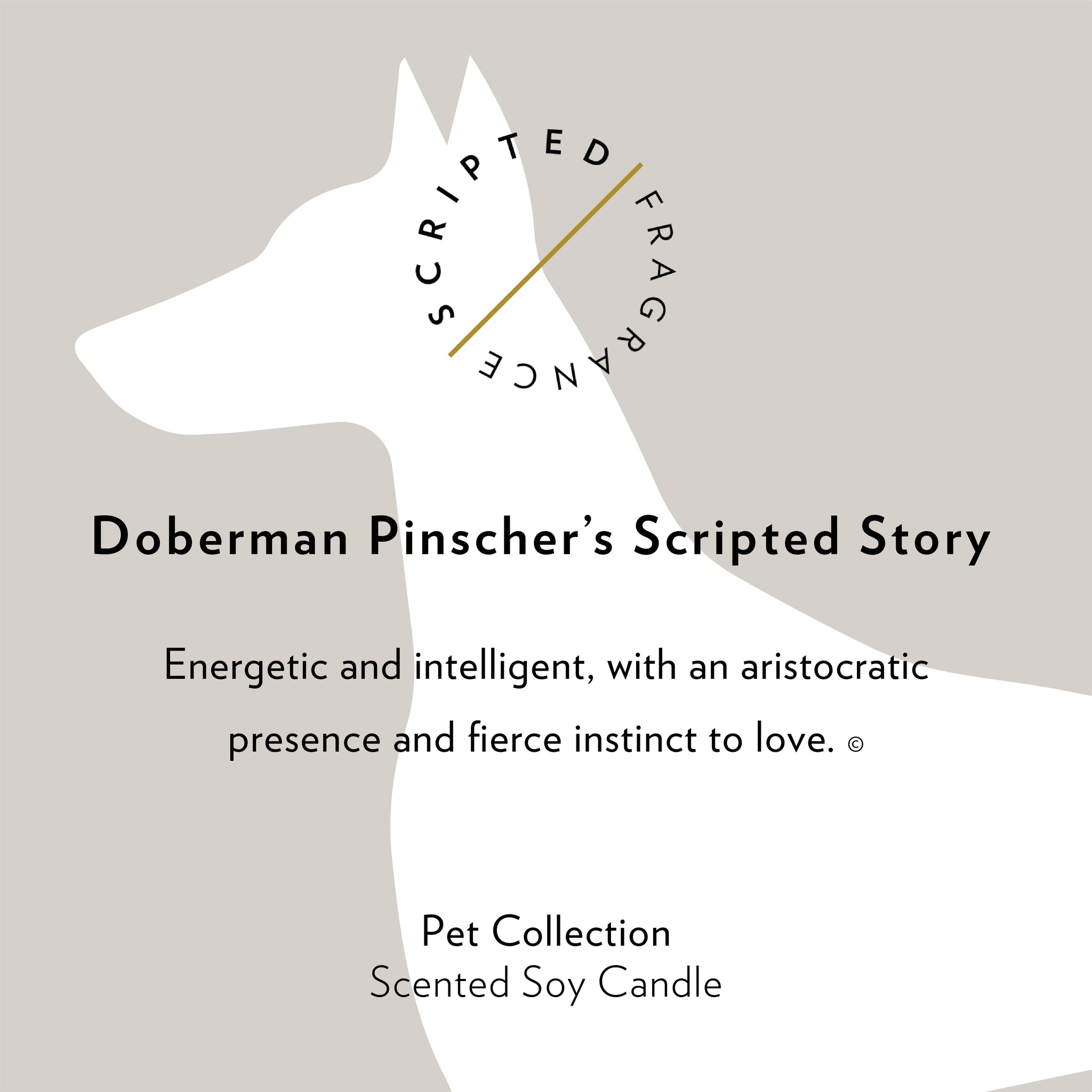 Doberman Pinscher Dog Breed Soy Candle