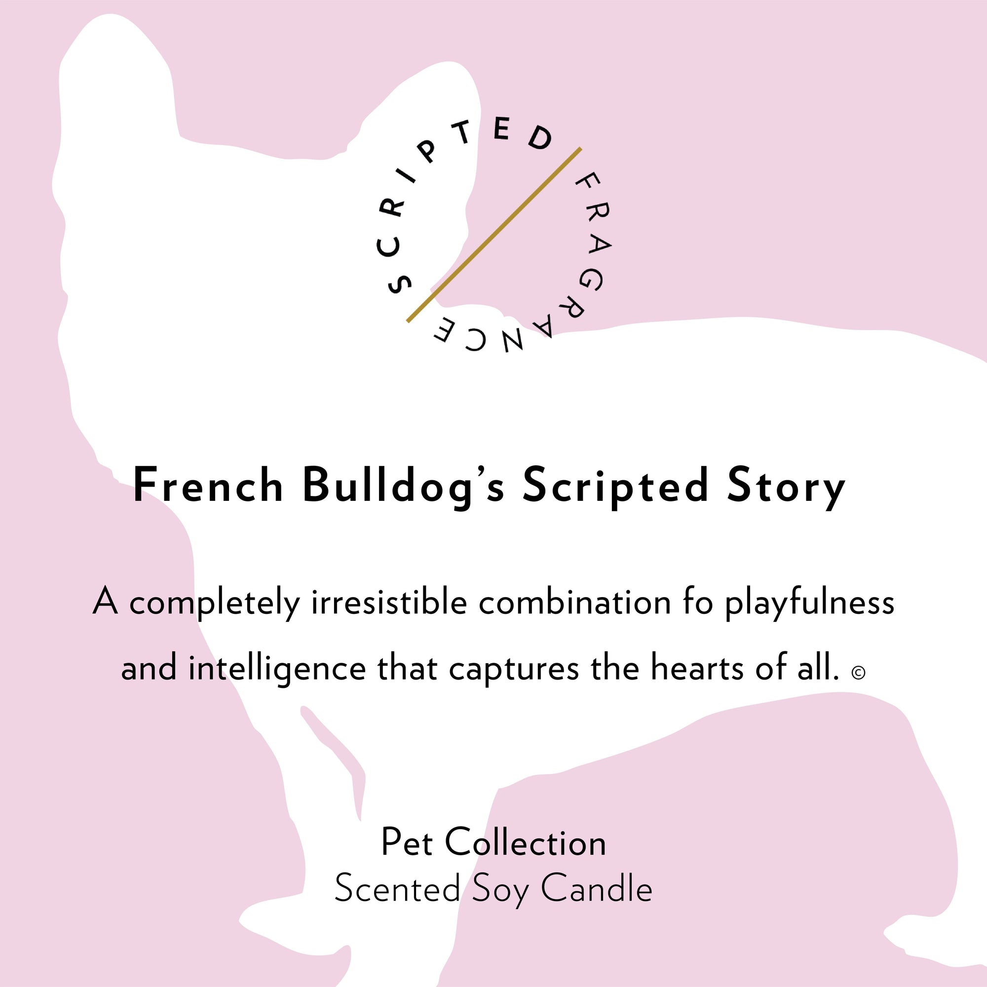 French Bulldog Dog Breed Soy Candle