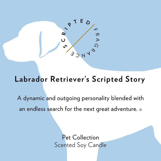 Labrador Retriever Dog Breed Soy Candle