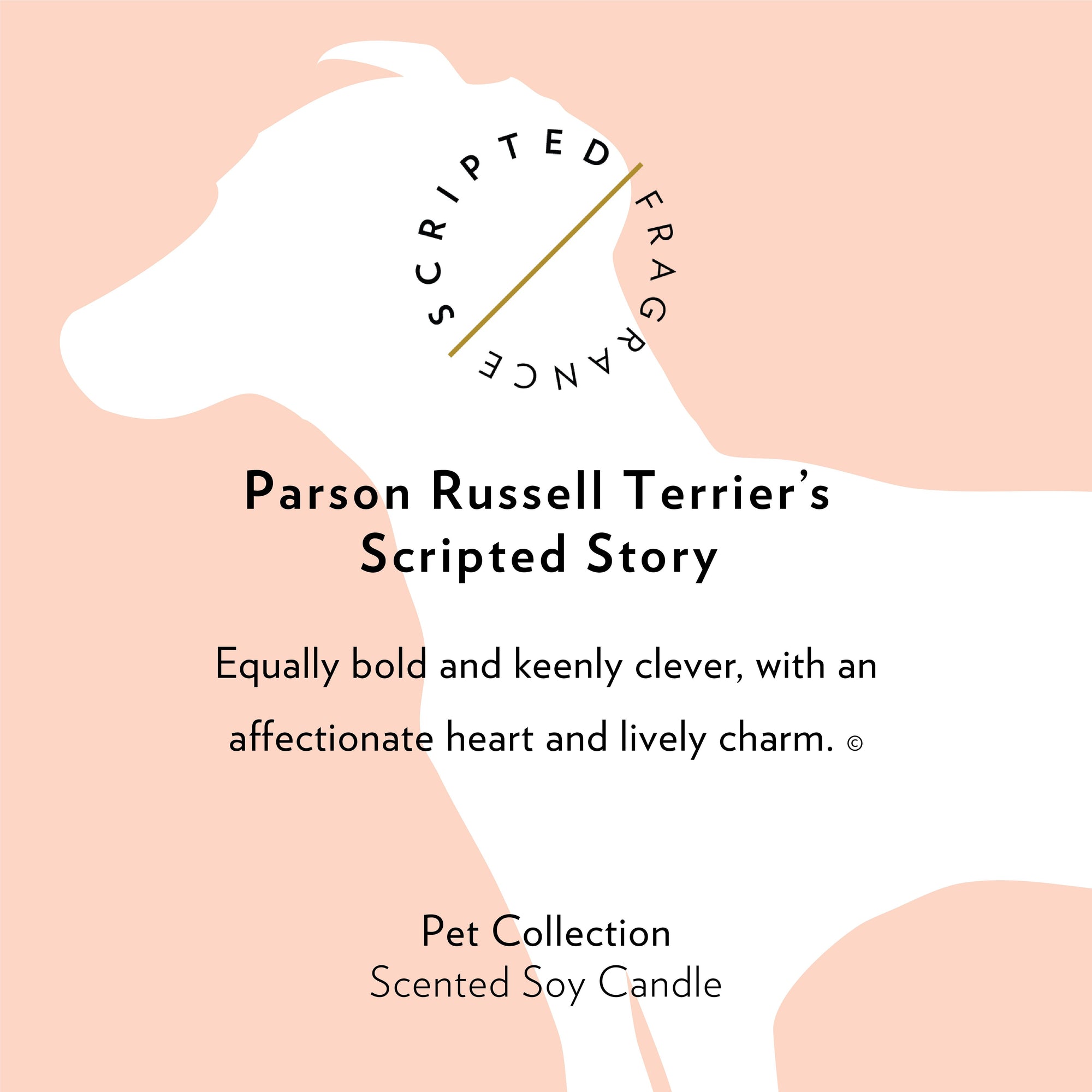 Parson Russell Terrier Dog Breed Soy Candle