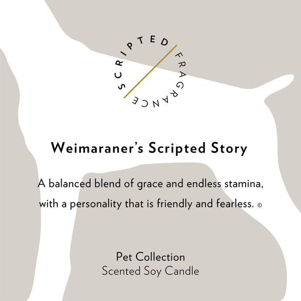Weimaraner Dog Breed Soy Candle