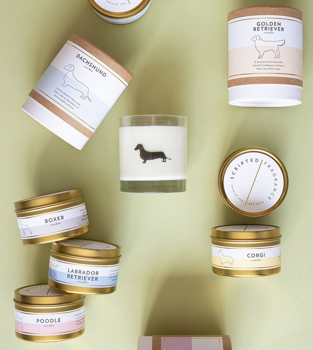 Rescue Dog Breed Soy Candle